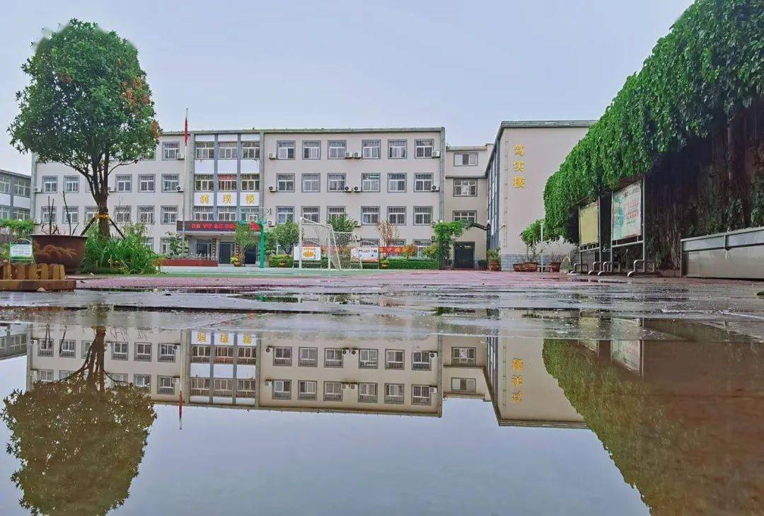 雨后教学楼倒影